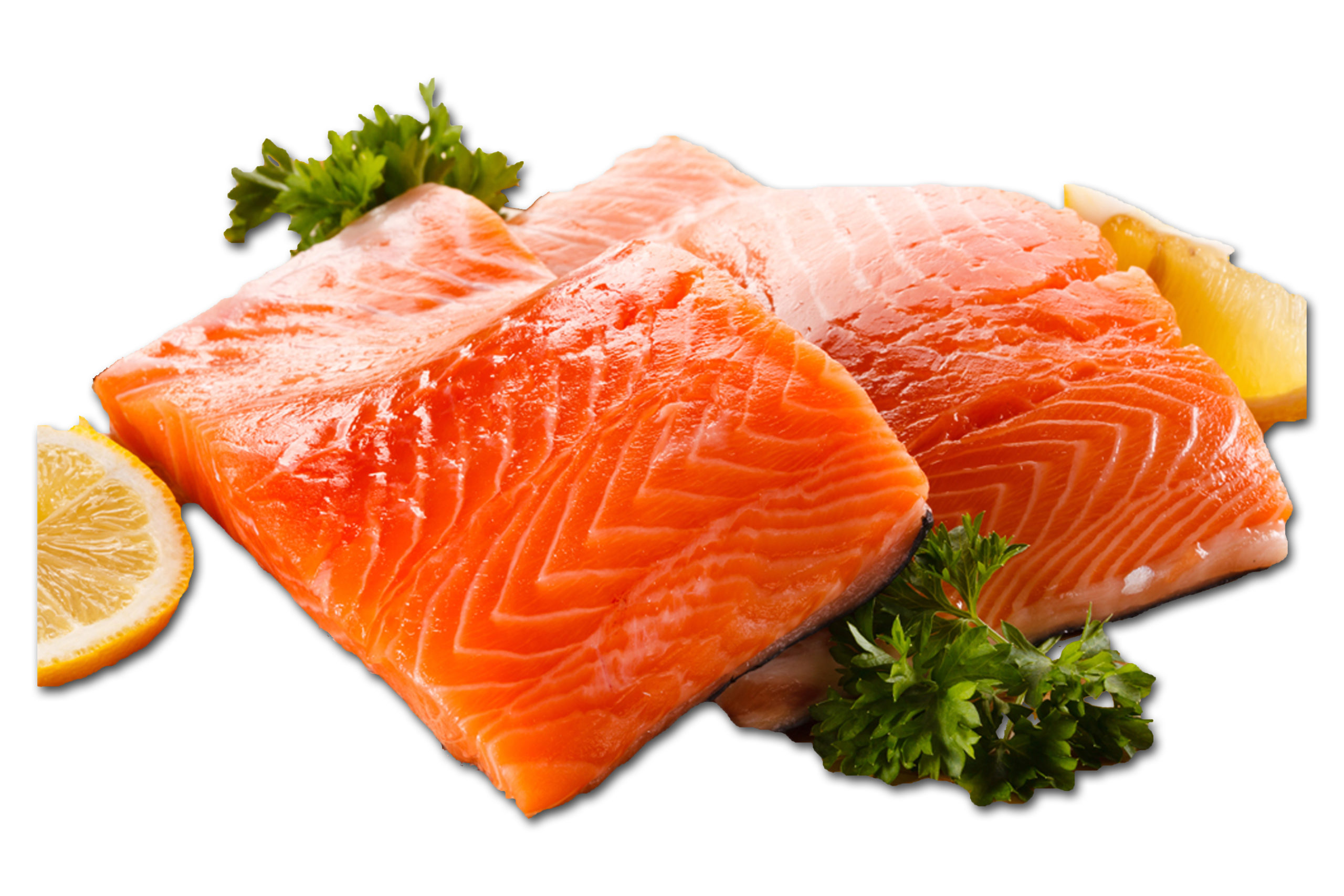 Salmon