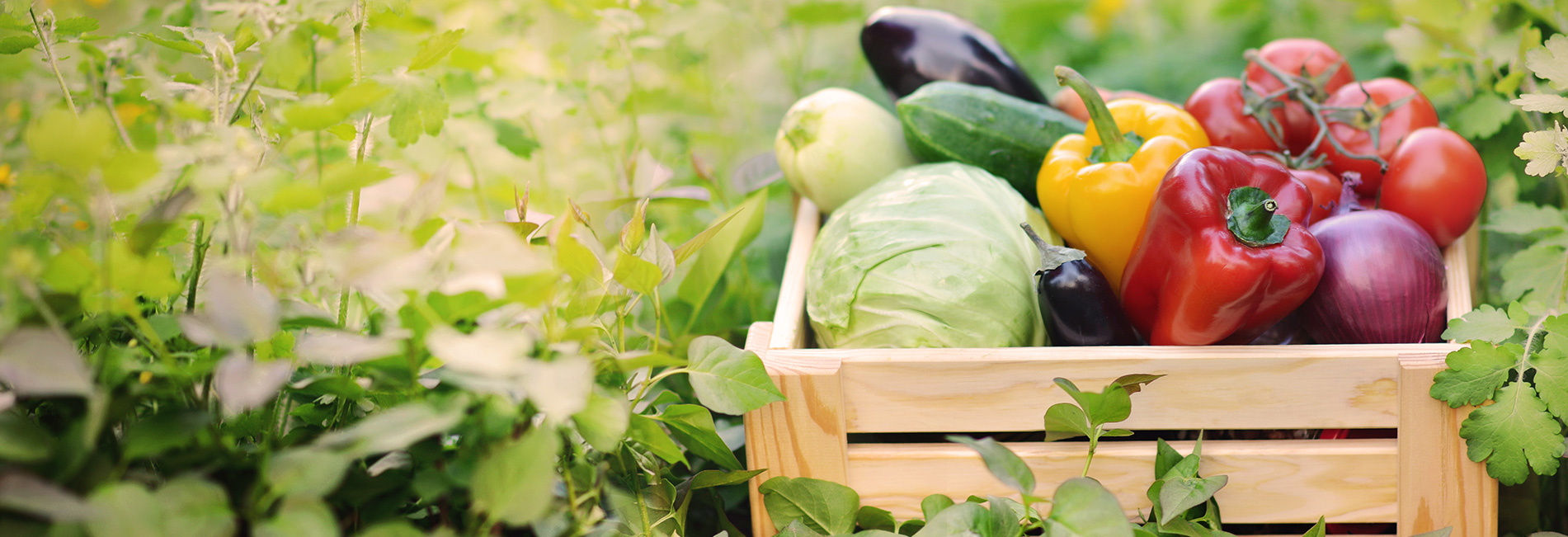 PRODUCE